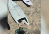 Geraldton Shark Attack Survivor Recovers; Authorities Collect Evidence