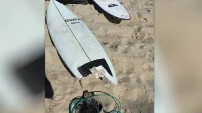Geraldton Shark Attack Survivor Recovers; Authorities Collect Evidence Geraldton Shark Attack Survivor Recovers; Authorities Collect Evidence