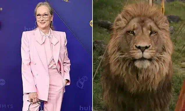 Meryl Streep’s Aslan Casting Sparks Christian Backlash, Debate Over Narnia Adaptation Meryl Streep’s Aslan Casting Sparks Christian Backlash, Debate Over Narnia Adaptation